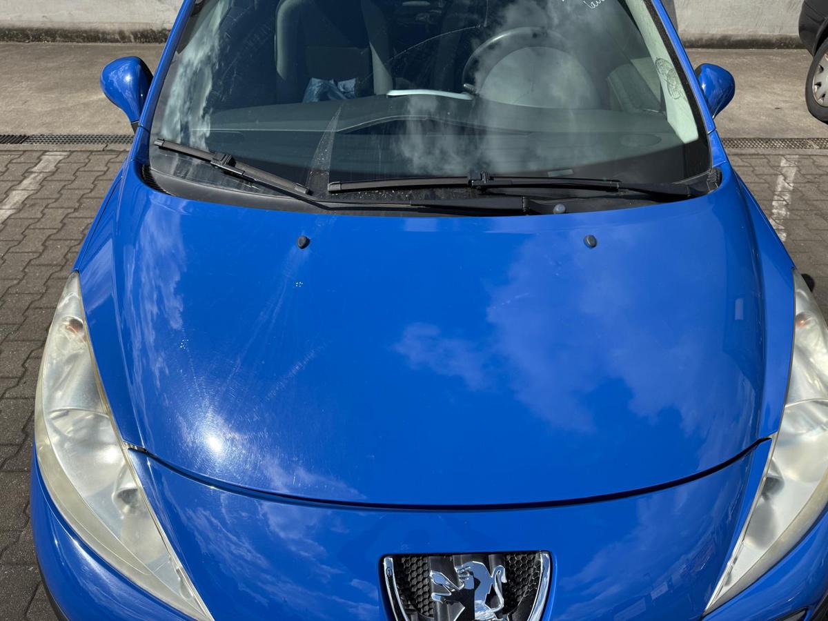 Peugeot 207 original Motorhaube EGJ Blau Santorin BJ07
